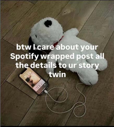 Snoopy listening to music and being supportive in a 2025 Spotify Wrapped meme