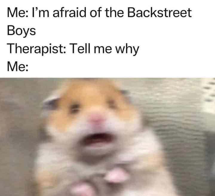 A 90s music meme showing a scared hamster reacting to the Backstreet Boys lyrics Tell me why.