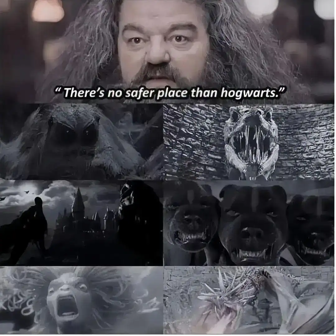 A Harry Potter meme showing dangerous monsters contradicting Hagrid saying Hogwarts is safe.
