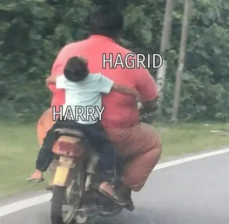 A funny Harry Potter meme comparing a real life motorcycle ride to Hagrid and Harry.