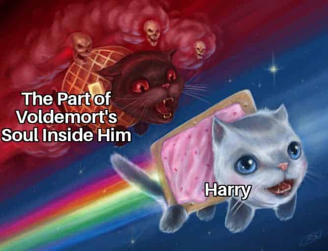 A Harry Potter meme using Nyan Cat to show Voldemort's soul chasing Harry.