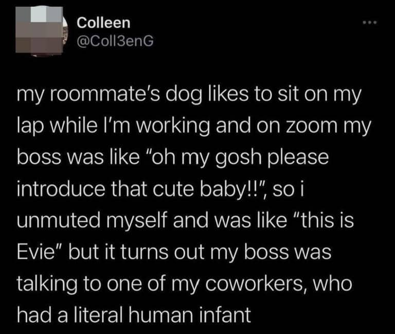 Tweet about confusing a boss's compliment for a baby with a dog on Zoom.