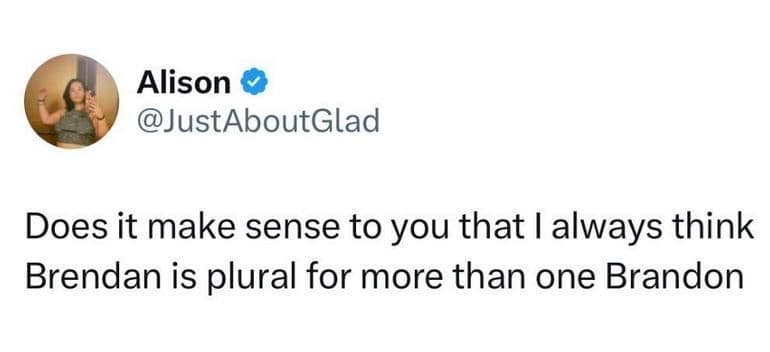 Tweet questioning if Brendan implies a plural group of Brandons in a baby name meme.