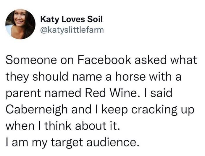 Tweet joking about naming a horse "Caberneigh" after Red Wine in a baby name meme.