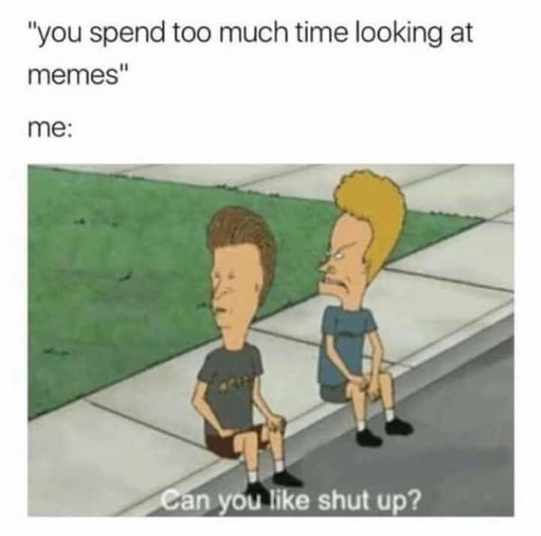 Beavis and Butthead sitting on a curb telling someone to shut up in a beavis and butthead meme.