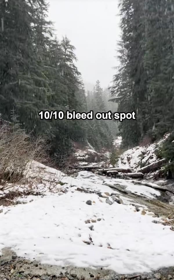 Forest stream in winter labeled as a 10/10 bleed out spot meme
