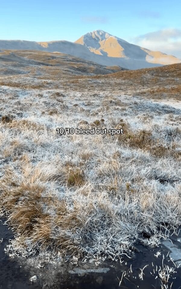 Grassy tundra field near mountains as a 10/10 bleed out spot meme