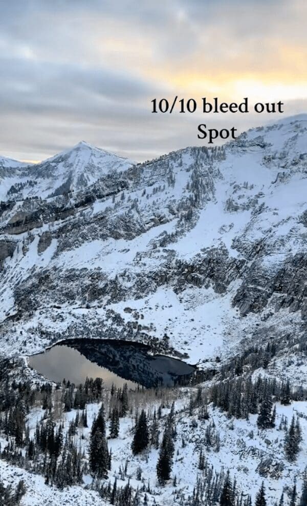 Alpine lake surrounded by snowy peaks as a 10/10 bleed out spot meme