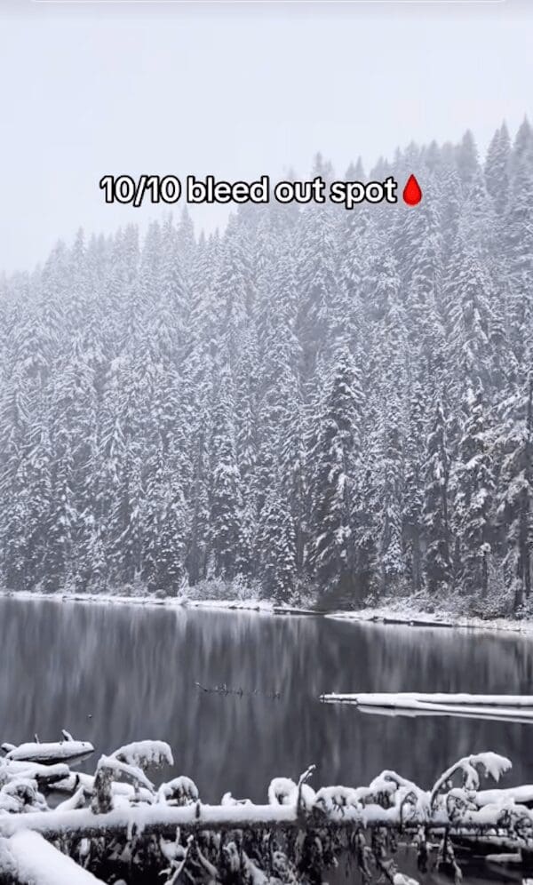 Dense pine forest covered in snow as a 10/10 bleed out spot meme.