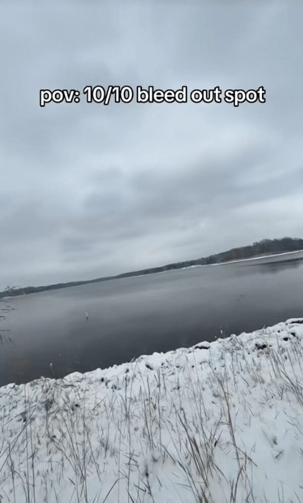 POV shot of a snowy lakeshore as a 10/10 bleed out spot meme