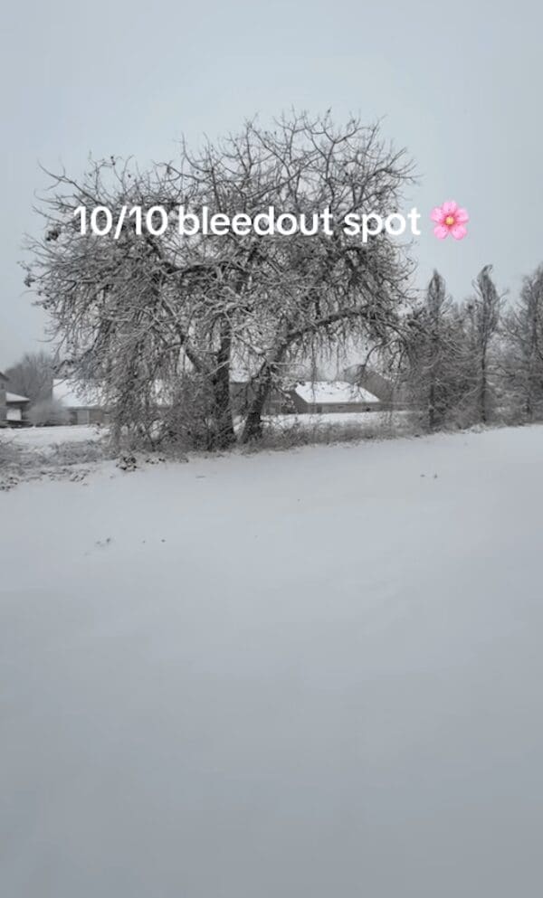 Frosty tree in a field labeled as a 10/10 bleed out spot meme