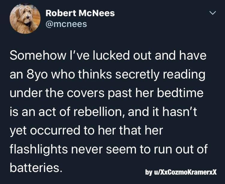 A wholesome meme tweet about a parent keeping fresh batteries in a child's flashlight for reading.