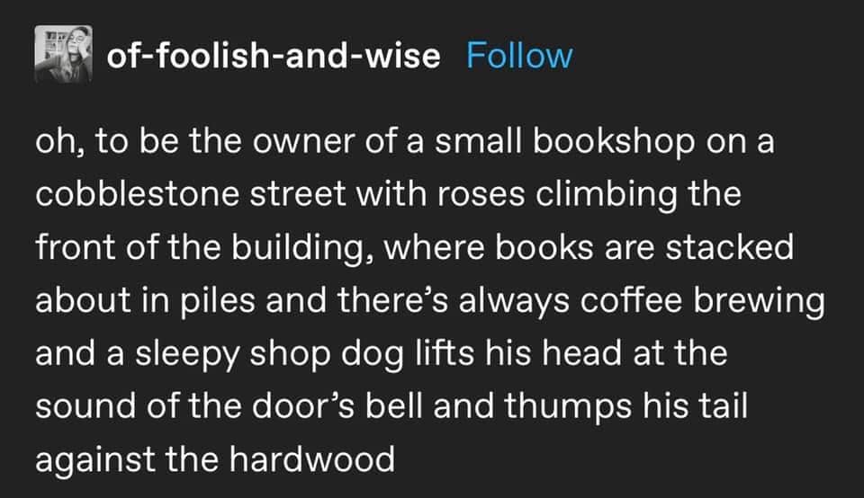 A cozy literature meme text describing the fantasy life of owning a small bookshop with a dog.