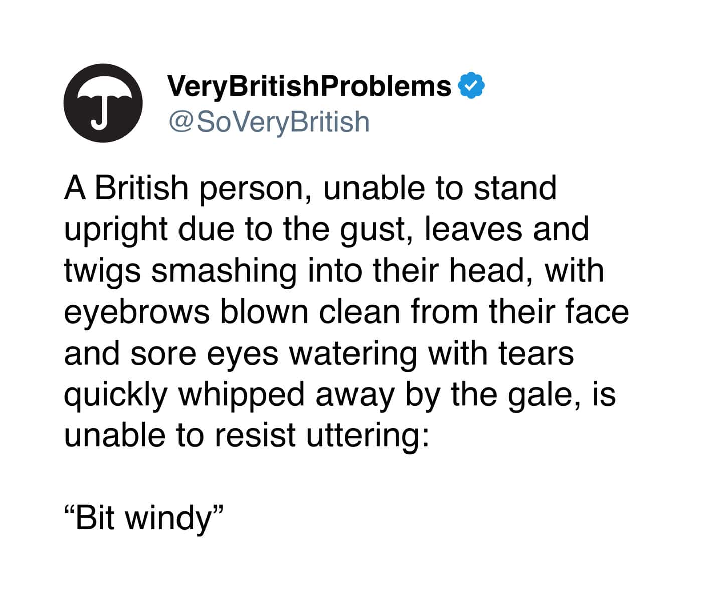 A funny british meme tweet about understating extreme weather conditions as just a bit windy.