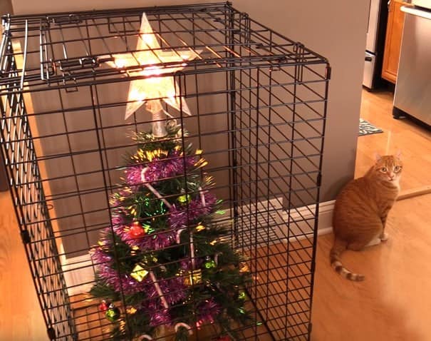 A cat christmas tree solution featuring a small tree locked inside a black metal dog crate.