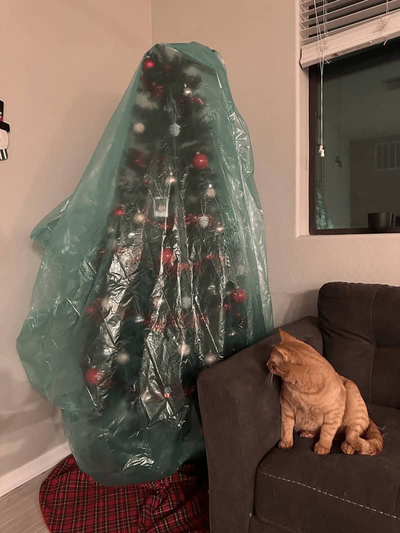 A funny picture of cat proofing christmas tree by wrapping it entirely in a green plastic bag.
