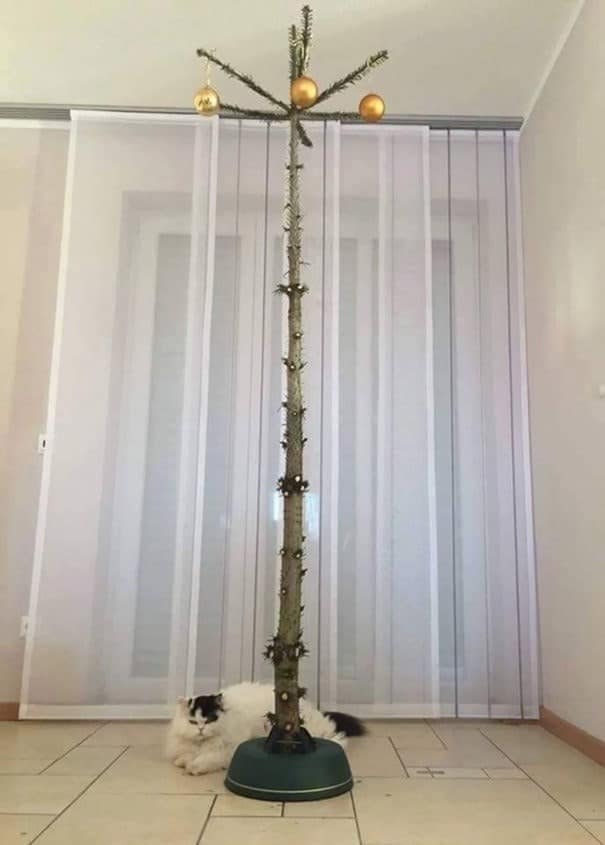 A cat christmas tree design where the branches are only at the very top of a tall trunk.