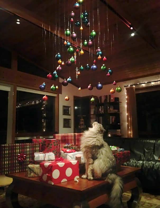 A creative cat christmas tree made of ornaments hanging from the ceiling out of reach
