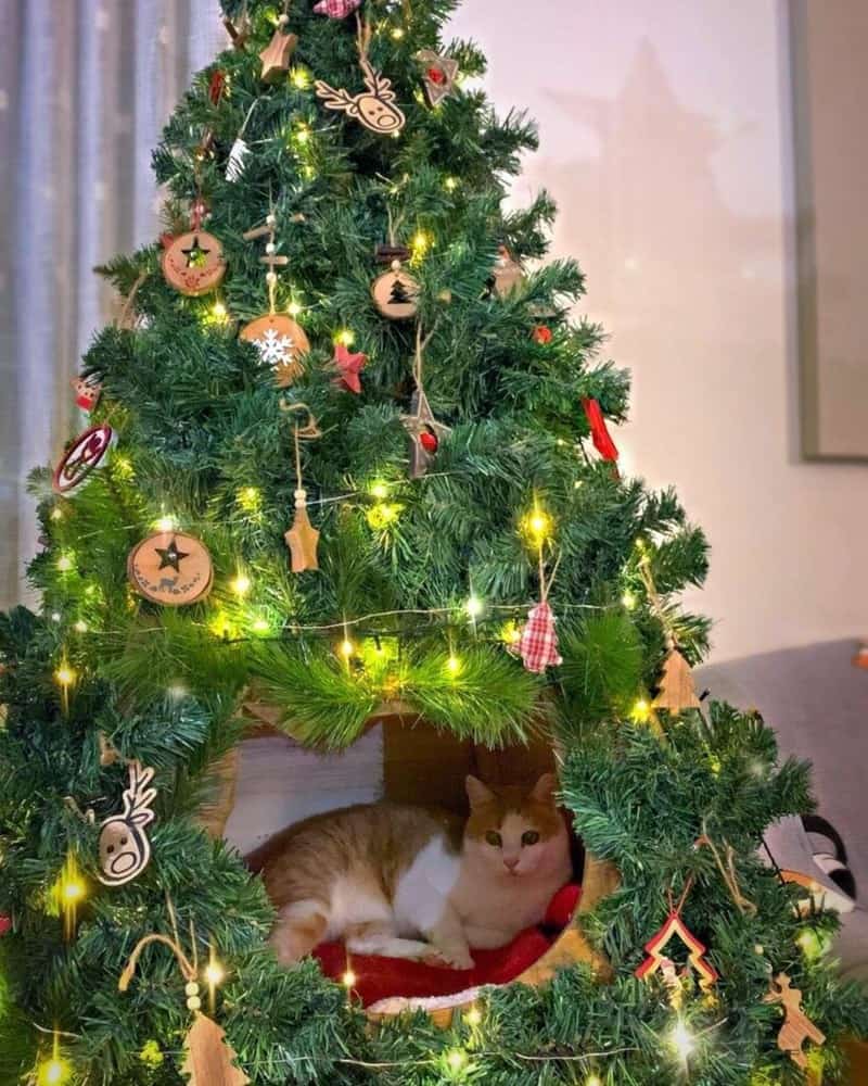 A cat christmas tree with a built-in tunnel for the cat to sleep inside.