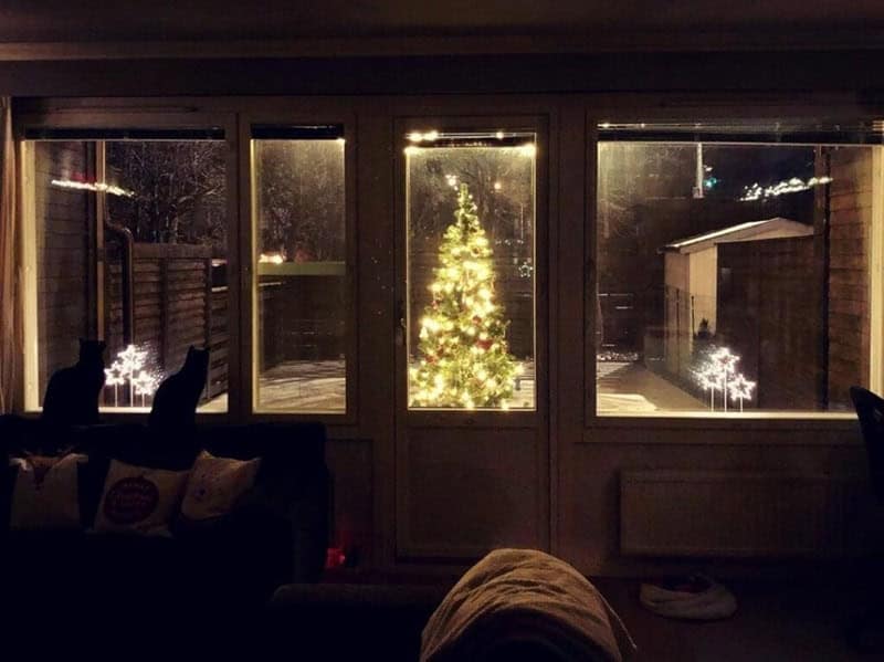 A funny picture of cat proofing christmas tree by placing it outside on the patio.