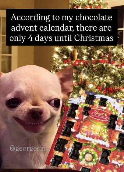 A funny christmas meme of a chihuahua smiling manically next to a Lindt advent calendar.
