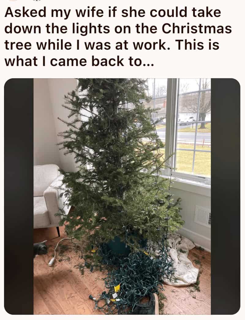 Christmas Tree Error christmas tree fails-12-12-19-2025 - Thunder Dungeon | The Funniest ...