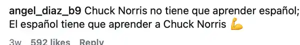 A funny comment in Spanish stating the language has to learn Chuck Norris.