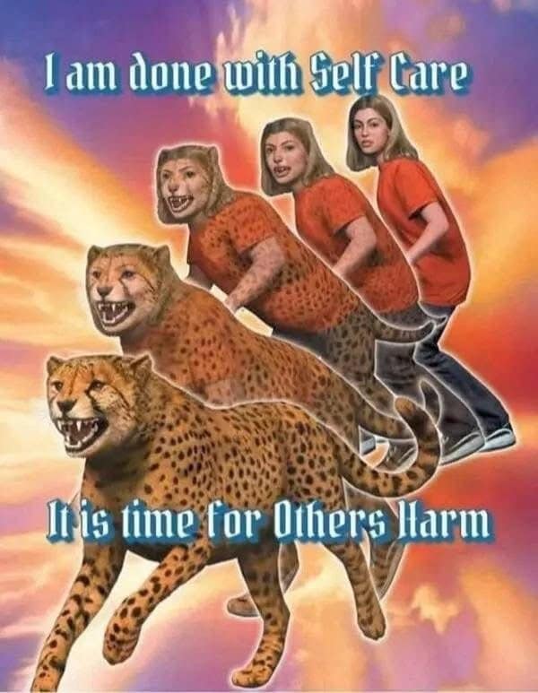 A classic meme parodying an Animorphs cover about choosing violence over self-care.
