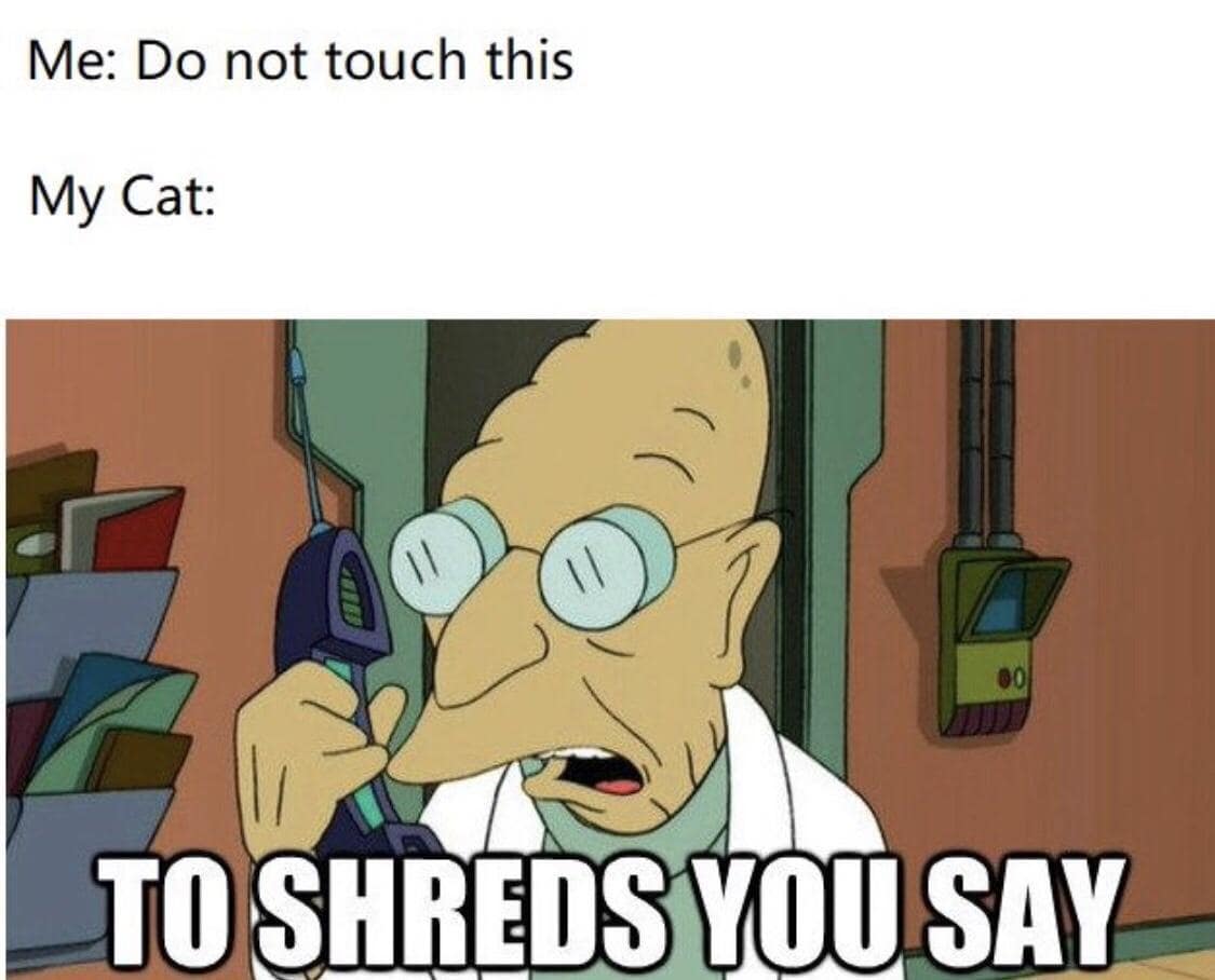 A classic meme of Professor Farnsworth from Futurama saying "To shreds you say" when his cat touches something.