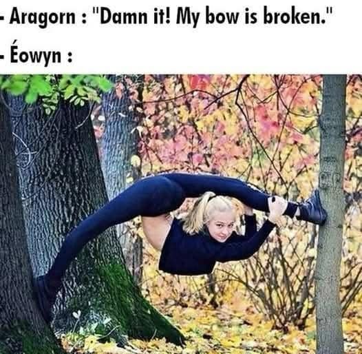 A classic meme showing Aragorn complaining about a broken bow followed by a photo of a flexible gymnast Eowyn.