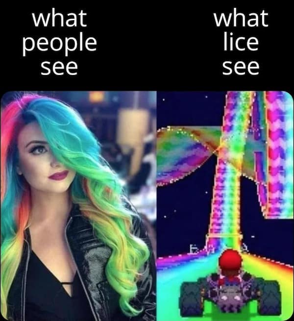 A classic meme comparing colorful hair to Mario Kart.