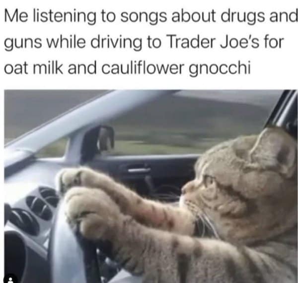 A classic meme showing a cat driving while listening to songs about drugs and guns.