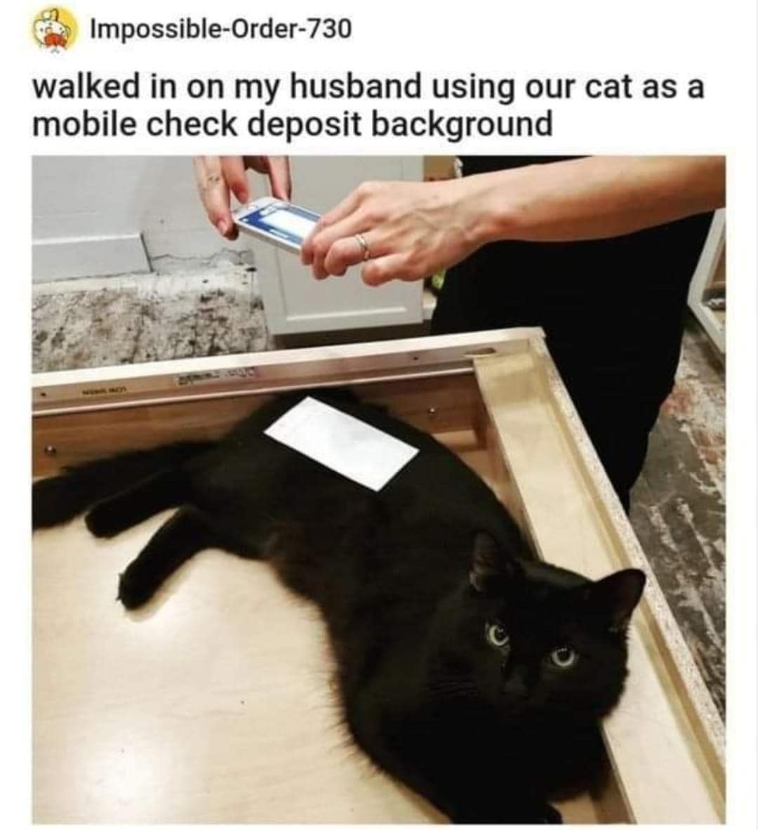 A classic meme viral tweet showing a black cat being used as a background for a mobile check deposit.