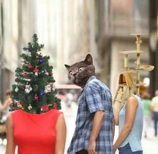 A classic meme of a couple with a cat head and Christmas tree head.