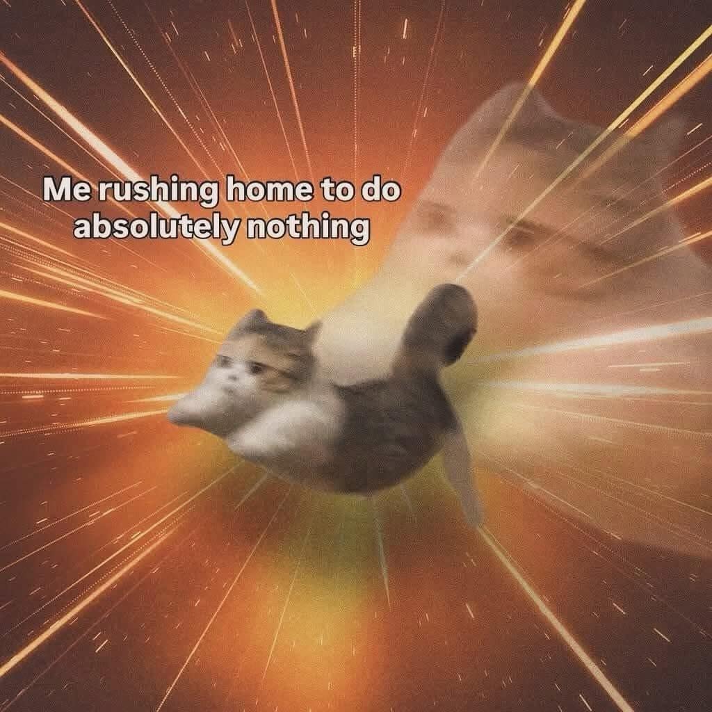 A classic meme of a cat flying at warp speed captioned me rushing home to do absolutely nothing.