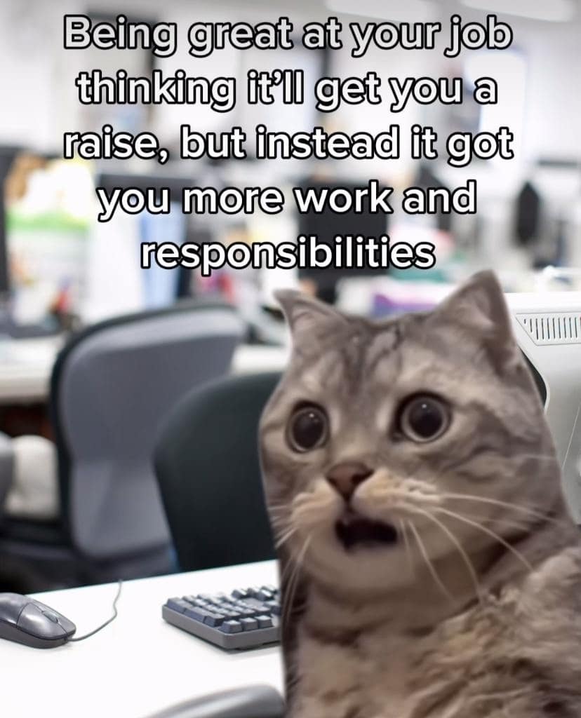 A classic meme of a shocked cat realizing a good job performance just led to more work.