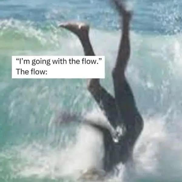 A classic meme showing a person faceplanting into water captioned going with the flow.