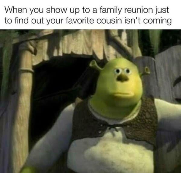Shrek looking disappointed at a family reunion in a classic meme