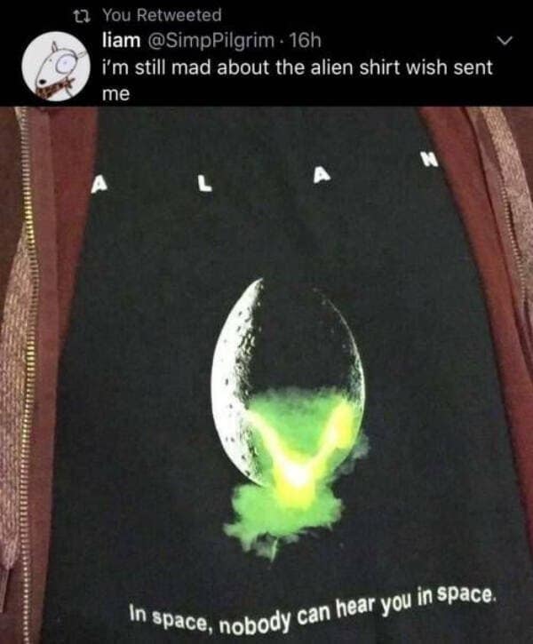A classic meme showing a misprinted Alien shirt from Wish.