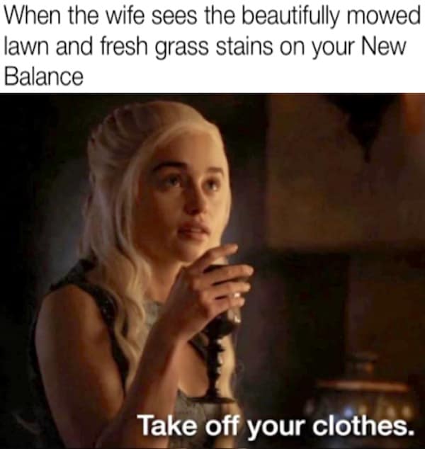 A classic meme of Daenerys Targaryen telling someone to take off their clothes because of grass stains.