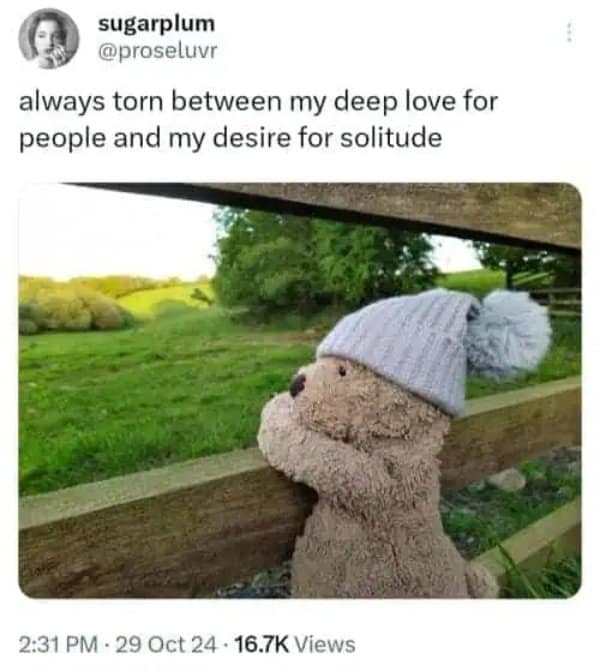 A classic meme tweet featuring a teddy bear looking over a fence about love vs solitude.