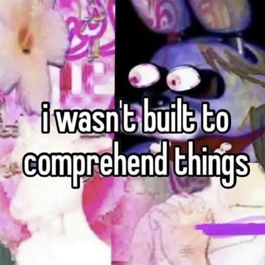 A classic meme of a distorted Bonnie bunny saying he wasn't built to comprehend things.