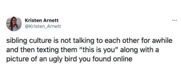 Tweet defining sibling culture as sending ugly bird photos in a classic meme