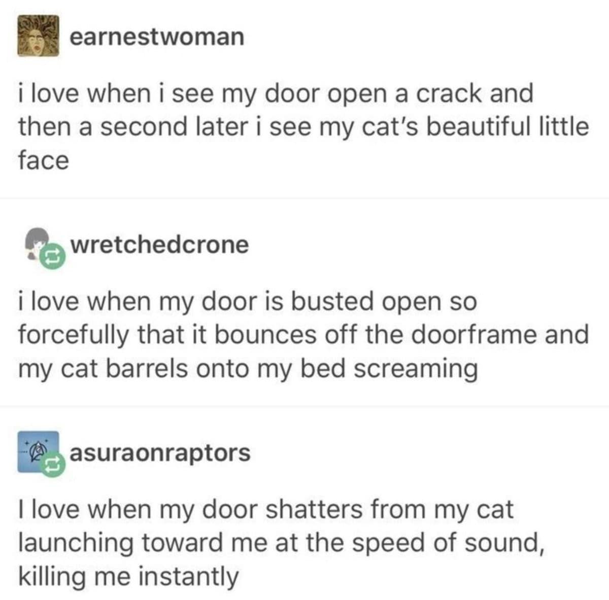 A Tumblr thread classic meme about cats bursting through doors like SWAT teams.