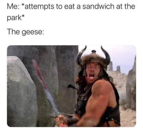 Conan the Barbarian representing aggressive geese in a classic meme