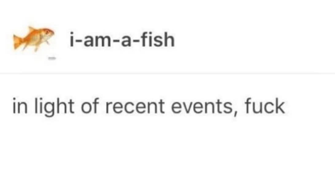 A classic meme fish tweet reacting to recent events with a simple profanity.