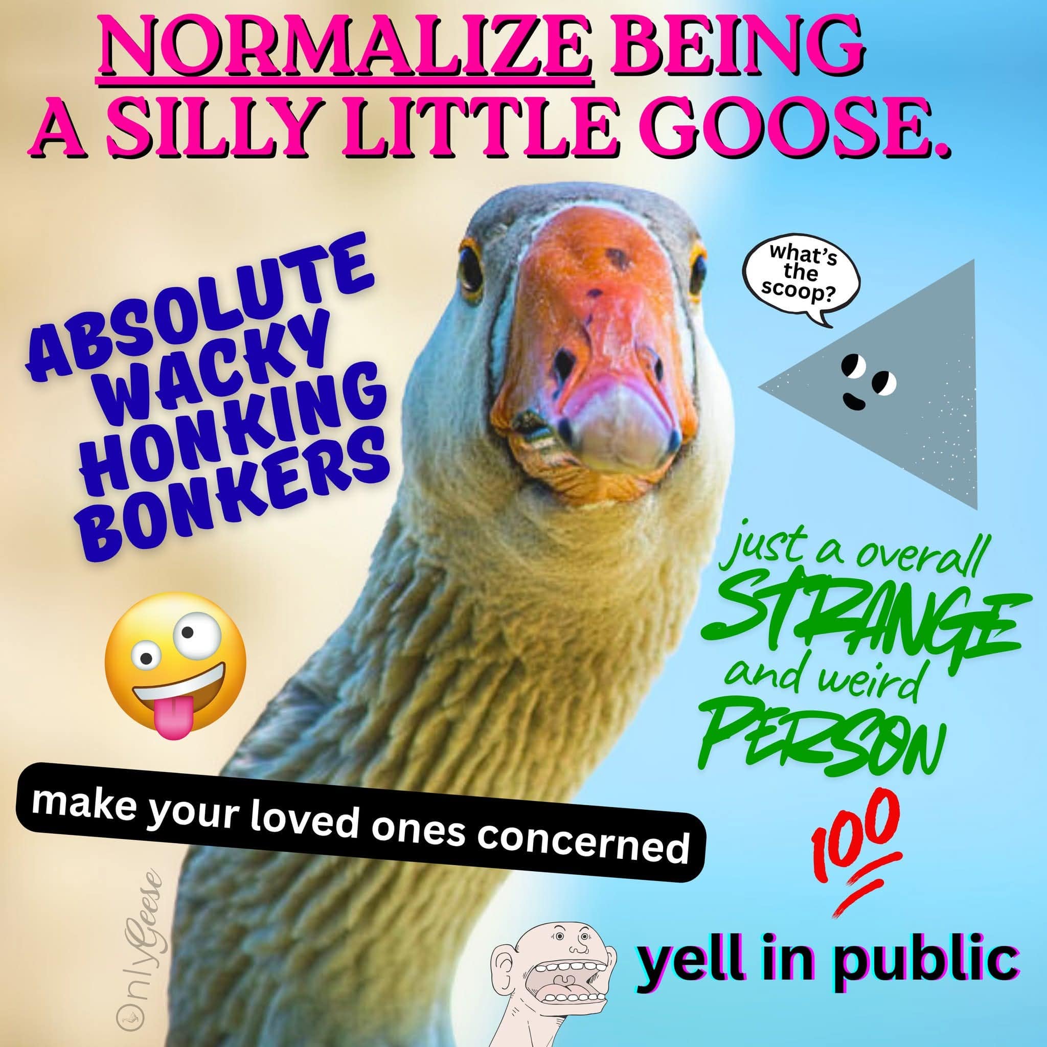A classic meme graphic encouraging people to normalize being a silly little goose.
