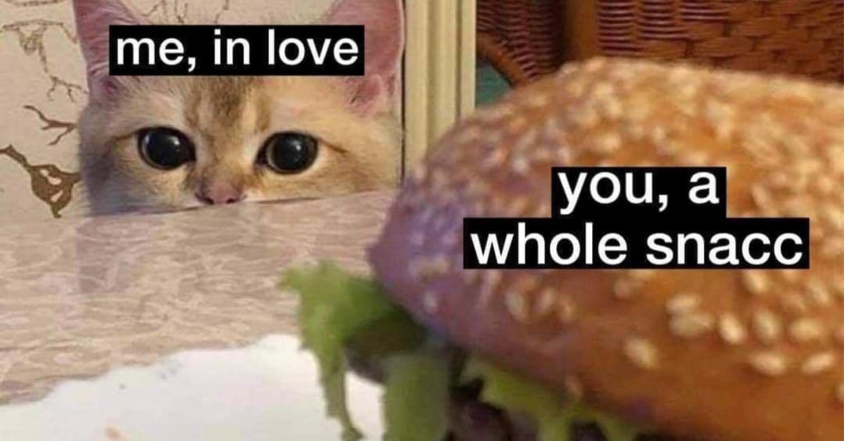Collection of classic meme images and viral tweet compilations featuring Futurama and Mr. Incredible