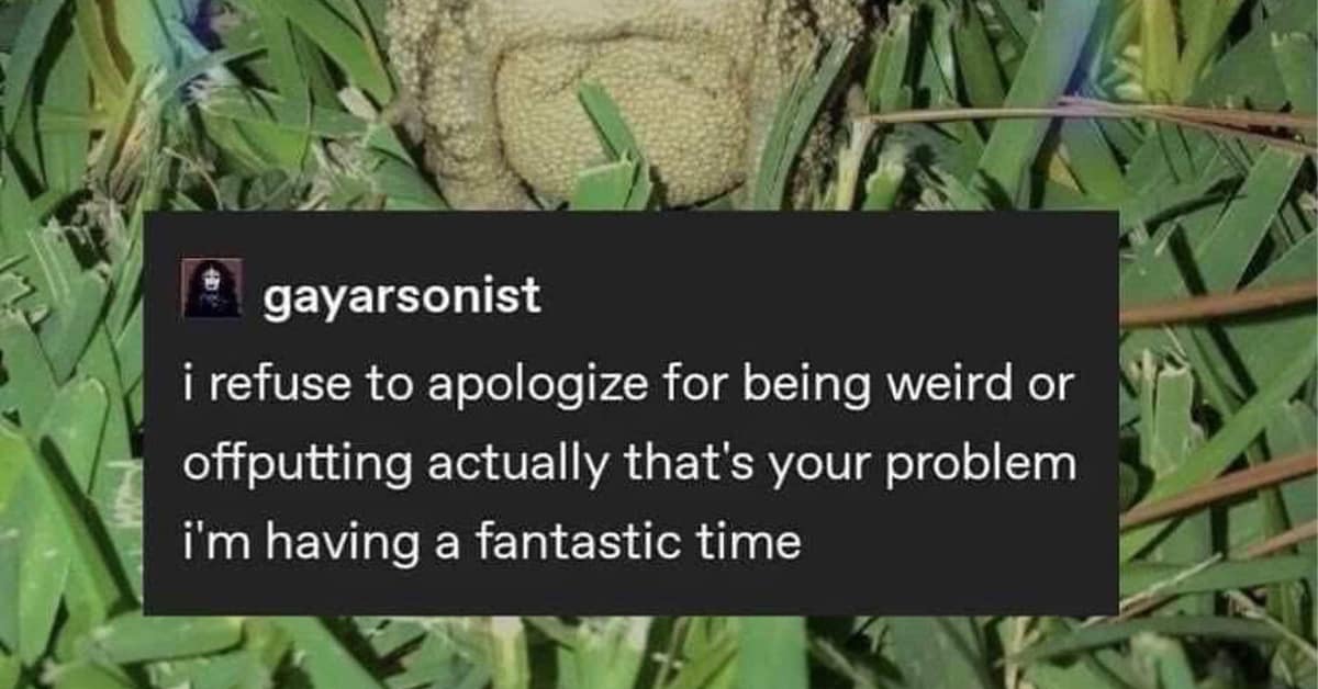 Collection of classic meme images and viral tweet compilations featuring distracted boyfriend and Tom Cruise