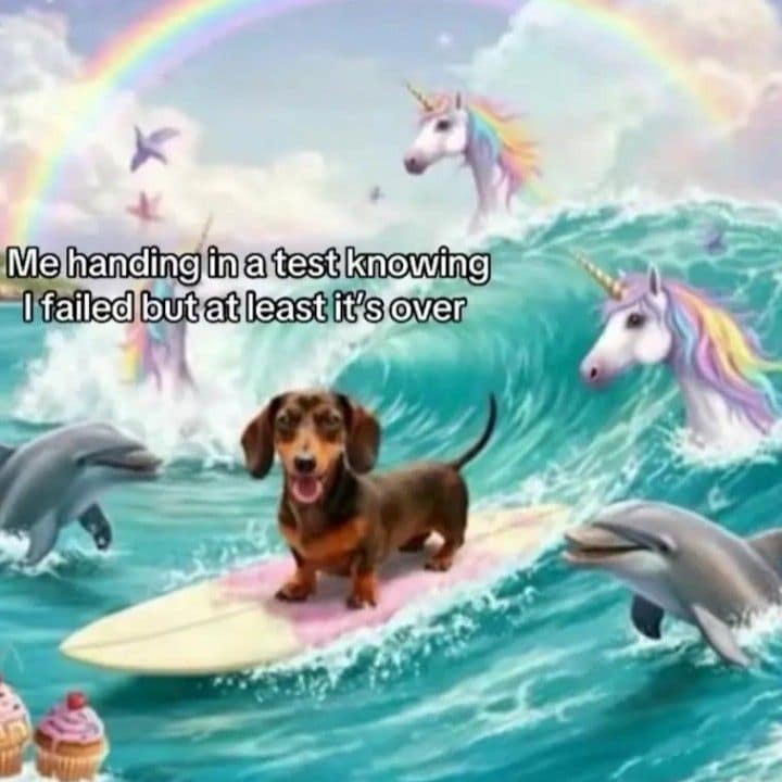 A classic meme collage of a dachshund surfing with dolphins about failing a test.